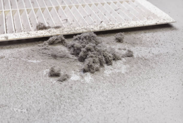Best Ventilation Cleaning Services  in Edgewater, NJ